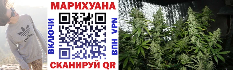 Канабис конопля купить цена Разумное